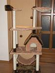     
: IMG_3864.jpg
: 69
:	83.1 
ID:	3647380