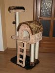     
: IMG_3868.jpg
: 49
:	84.4 
ID:	3647399