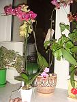     
: DSC03950.jpg
: 37
:	111.3 
ID:	3648679