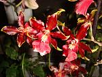     
: DSC03959.jpg
: 58
:	151.0 
ID:	3648682