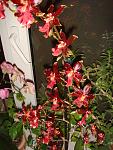     
: DSC03951.jpg
: 32
:	136.0 
ID:	3648683