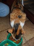     
: SDC17210.jpg
: 7
:	72.3 
ID:	3657416