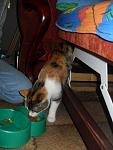     
: SDC17201.jpg
: 3
:	70.8 
ID:	3657420