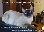     
: getImage1.jpeg
: 35
:	65.1 
ID:	3658976