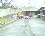     
: IMG0127A.jpg
: 90
:	75.1 
ID:	366861
