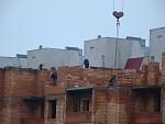     
: DSC04040.jpg
: 62
:	108.1 
ID:	3669404