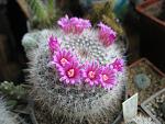     
: IMG_5496.jpg
: 15
:	126.6 
ID:	3670104