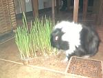     
: Фото-0227.jpg
: 27
:	239.7 
ID:	3671390