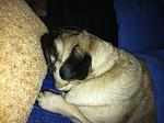     
: z_c476e2af.jpg
: 46
:	290.7 
ID:	3673318