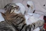     
: x_d55920ea.jpg
: 31
:	54.3 
ID:	3673511