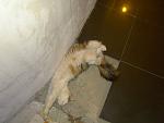     
: DSC09240.JPG
: 39
:	141.3 
ID:	3673598