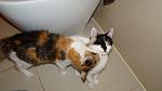     
: DSC09108.jpg
: 34
:	69.1 
ID:	3673605