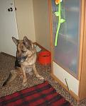     
: IMG_0778.jpg
: 53
:	132.5 
ID:	3673771