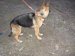    
: IMG_0774.jpg
: 51
:	268.1 
ID:	3673774