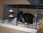     
: IMG_6507.JPG
: 26
:	177.5 
ID:	3674530