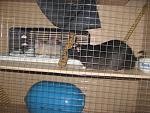     
: IMG_6509.JPG
: 30
:	213.5 
ID:	3674543