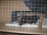     
: IMG_6510.JPG
: 24
:	193.6 
ID:	3674544
