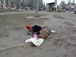     
: 2012-01-26 09.24.042.jpg
: 121
:	175.2 
ID:	3676069