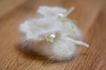     
: IMG_5329.jpg
: 21
:	58.7 
ID:	3677458