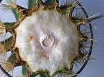     
: IMG_0130.jpg
: 22
:	186.9 
ID:	3677913