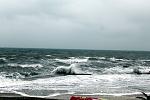     
: IMG_2390.jpg
: 149
:	113.1 
ID:	3678288