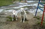     
: 14012012582.jpg
: 41
:	95.3 
ID:	3678659
