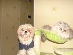     
: DSC02873.jpg
: 112
:	83.2 
ID:	3680647