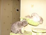     
: DSC02875.jpg
: 109
:	74.8 
ID:	3680648