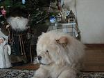     
: DSC02826.jpg
: 97
:	131.0 
ID:	3680658