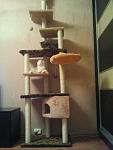     
: 2012-01-26 19.40.17.jpg
: 51
:	79.0 
ID:	3680824