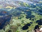     
: IMG_1003 -1.jpg
: 57
:	129.0 
ID:	3681592