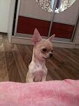     
: IMG_1185.jpg
: 92
:	93.8 
ID:	3684044