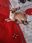     
: IMG_1260.jpg
: 157
:	103.3 
ID:	3684053