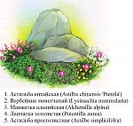     
: 78007.jpg
: 576
:	211.3 
ID:	3687900