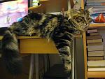     
: IMG_2645.jpg
: 26
:	155.8 
ID:	3690402