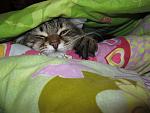     
: IMG_2652.jpg
: 29
:	141.5 
ID:	3690403
