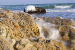     
: DSC00633.jpg
: 56
:	142.8 
ID:	3693992