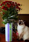     
: DSC_0492.jpg
: 34
:	289.2 
ID:	3696712