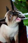     
: DSC_0483.jpg
: 31
:	198.8 
ID:	3696714
