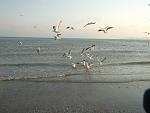     
: DSCF1829.jpg
: 76
:	145.9 
ID:	3697715