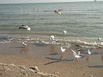     
: DSCF1799.jpg
: 71
:	143.2 
ID:	3697730