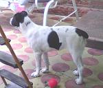     
: IMG0013A.jpg
: 87
:	161.4 
ID:	3698442