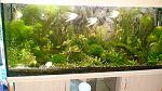     
: DSC02765.jpg
: 69
:	157.7 
ID:	3701251