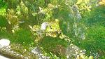     
: DSC02772.jpg
: 49
:	202.6 
ID:	3701252