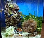     
: DSC01265.jpg
: 74
:	217.5 
ID:	3702168