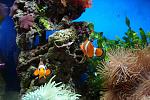     
: DSC01333.jpg
: 59
:	114.7 
ID:	3702180