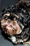     
: DSC_0589.jpg
: 34
:	137.7 
ID:	3702294