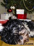     
: DSC_0159.jpg
: 33
:	128.9 
ID:	3702295