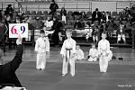     
: IMG_1206-1.JPG
: 28
:	133.7 
ID:	3702541