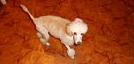     
: SDC11462.JPG
: 61
:	74.9 
ID:	3703953